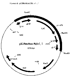 Une figure unique qui représente un dessin illustrant l'invention.